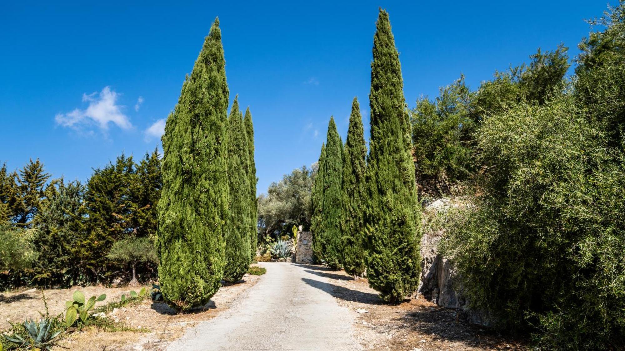 Roba Degli Ulivi Bed and Breakfast Αγκριτζέντο Εξωτερικό φωτογραφία